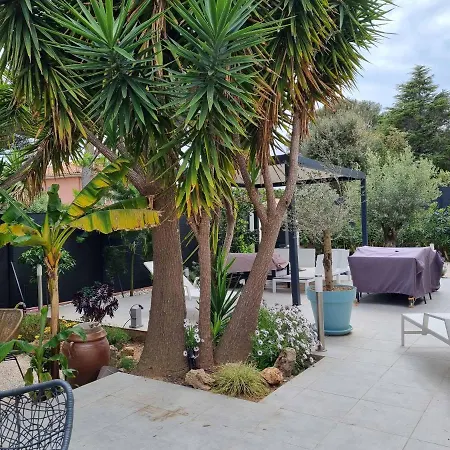Yucca فيلة Fréjus