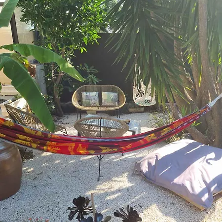 فيلة Yucca
