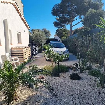 Yucca