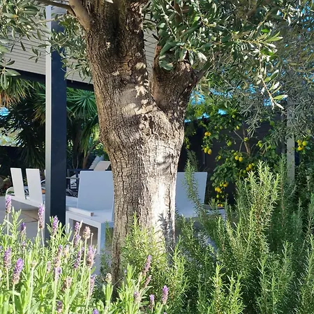 Yucca Villa *